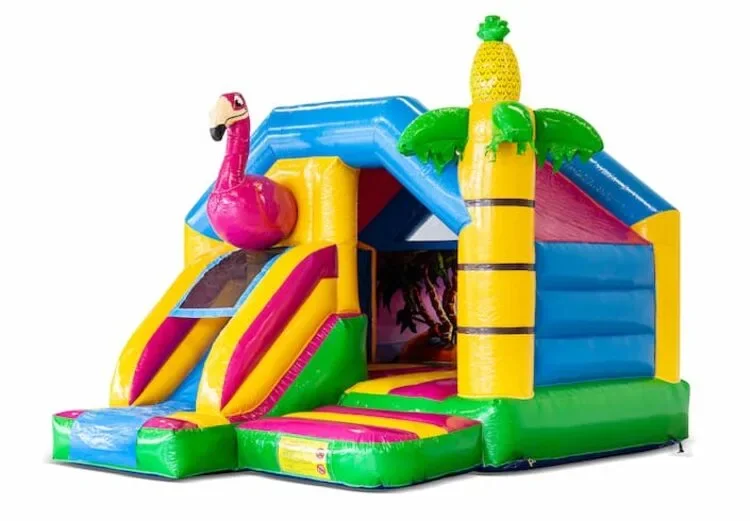 Location Château gonflable avec toboggan